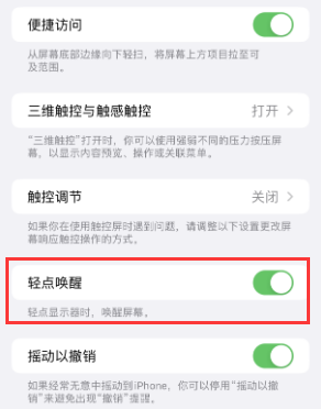 正蓝苹果授权维修站分享iPhone轻点无法唤醒怎么办 