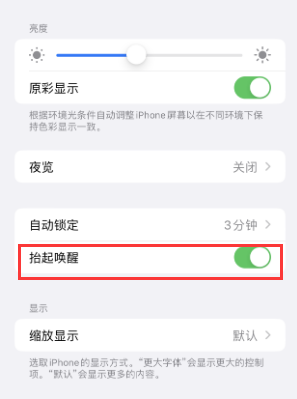 正蓝苹果授权维修站分享iPhone轻点无法唤醒怎么办