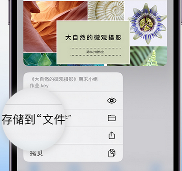 正蓝apple维修中心分享iPhone文件应用中存储和找到下载文件