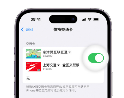 正蓝apple维修点分享iPhone上更换Apple Pay快捷交通卡手绘卡面 