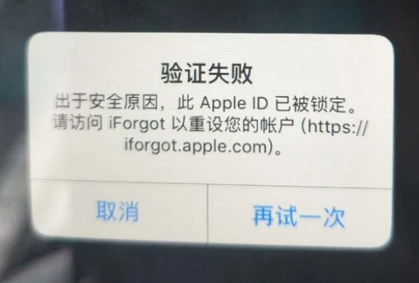 正蓝iPhone维修分享iPhone上正常登录或使用AppleID怎么办 