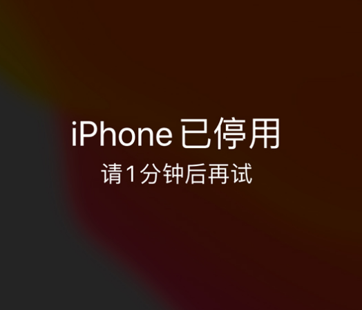 正蓝苹果手机维修分享:iPhone 显示“不可用”或“已停用”怎么办？还能保留数据吗？ 