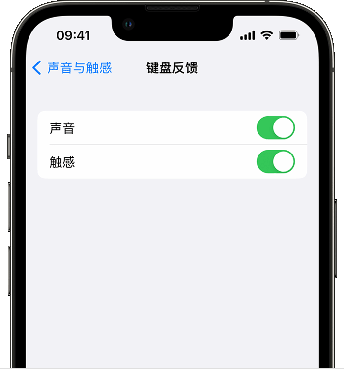 正蓝苹果14维修店分享如何在 iPhone 14 机型中使用触感键盘 