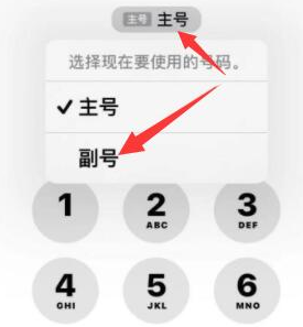 正蓝苹果14维修店分享iPhone 14 Pro Max使用副卡打电话的方法 