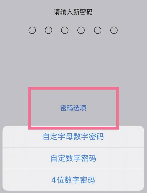 正蓝苹果14维修分享iPhone 14plus设置密码的方法 