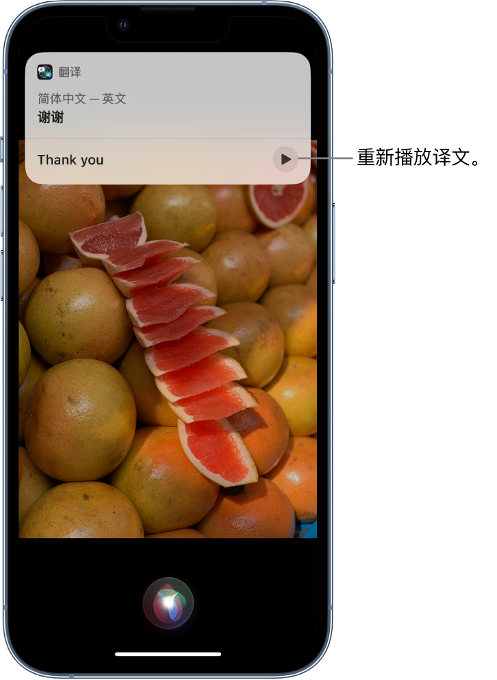 正蓝苹果14维修分享 iPhone 14 机型中使用 Siri：了解 Siri 能帮你做什么 