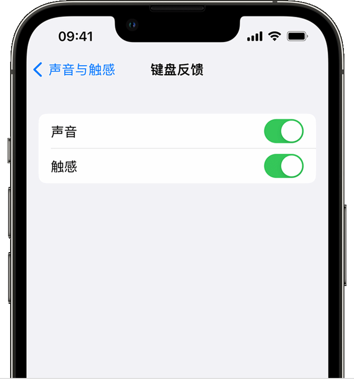 正蓝苹果14维修分享iPhone 14 系列机型如何开启键盘声音或触感反馈 