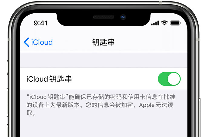 正蓝苹果手机维修分享在 iPhone 上开启 iCloud 钥匙串之后会储存哪些信息 