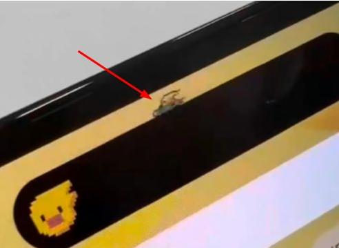 正蓝苹果14维修分享iPhone 14 Pro Max灵动岛怎么养宠物 