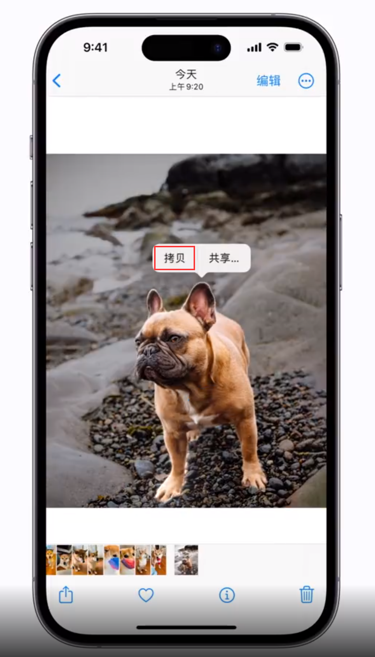 正蓝苹果手机维修分享 iOS 16 自带一键抠图功能 