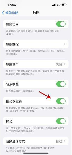 正蓝苹果手机维修分享iPhone手机如何设置摇一摇删除文字 