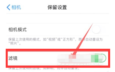 正蓝苹果13维修分享iPhone13拍照有绿点是怎么回事 