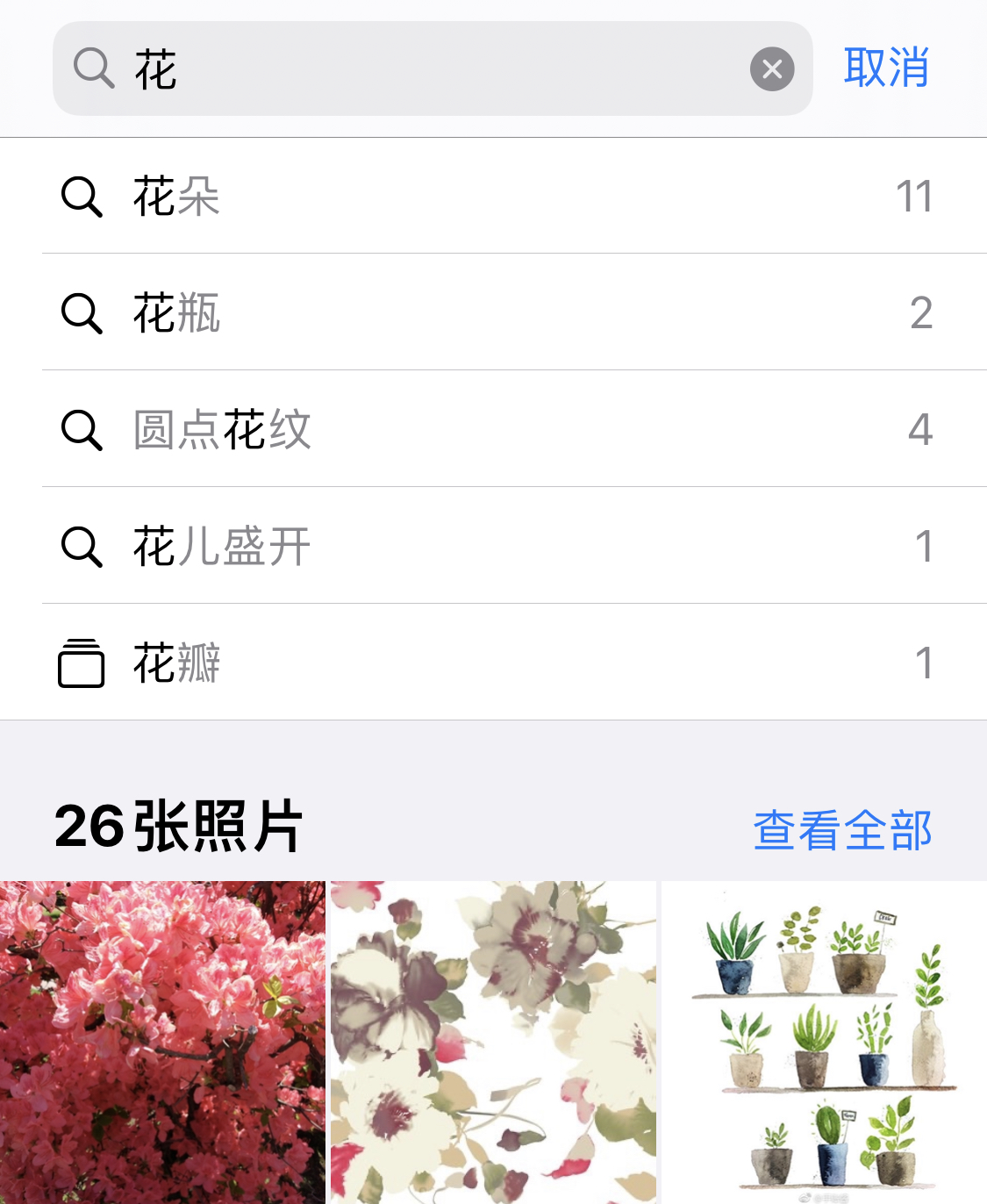 正蓝苹果手机维修分享iPhone 小技巧 