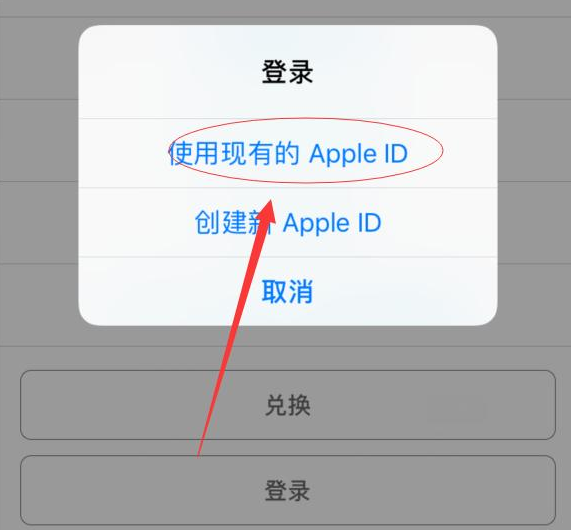 正蓝苹果手机维修分享两台iPhone设备可以同时登录一个Apple ID吗 