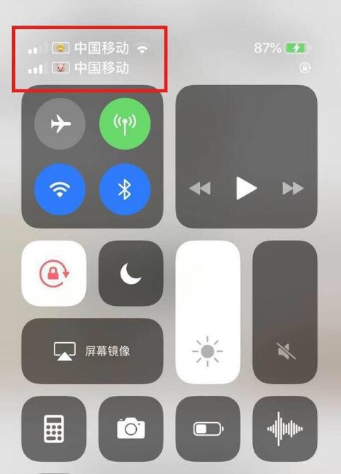 正蓝苹果手机维修分享为 iPhone 12 双卡设置标签 