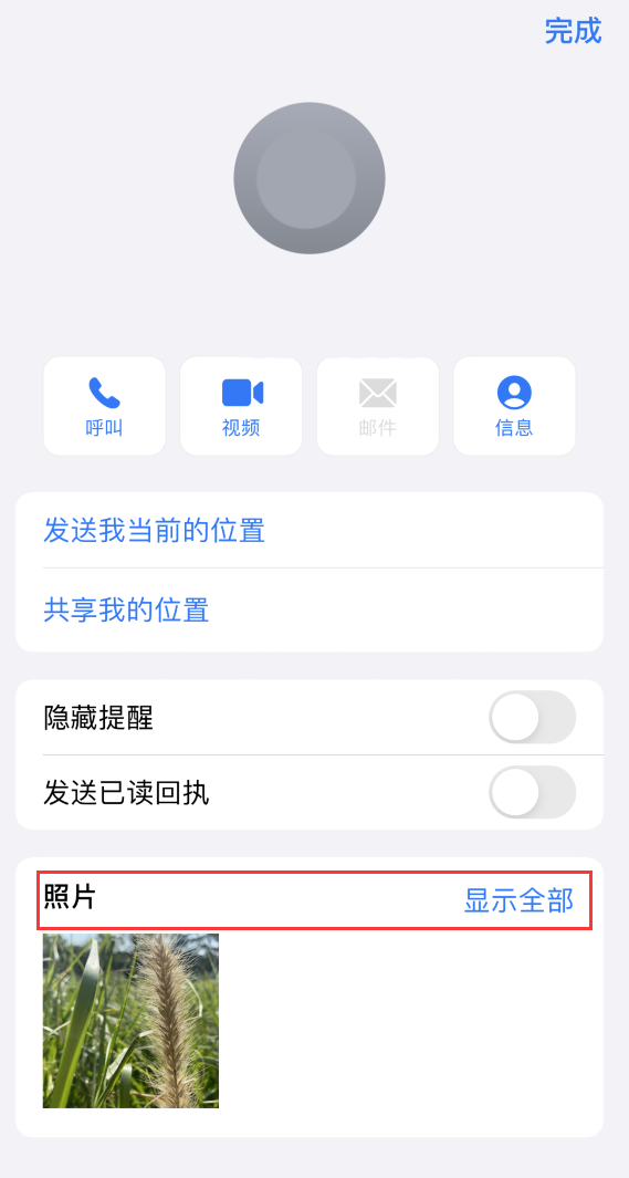 正蓝苹果手机维修分享如何快速查找 iMessage 信息中的图片等附件 